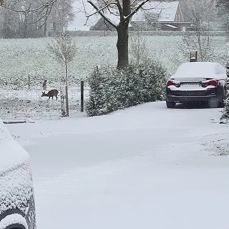 Sweet-escape Loningen